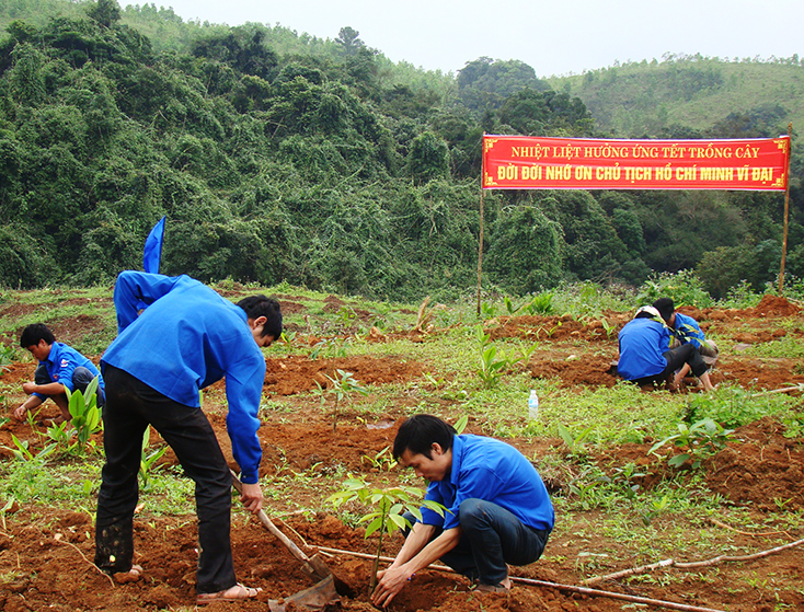 Thực hiện tốt Tết trồng cây nhân dịp xuân Kỷ Hợi 2019