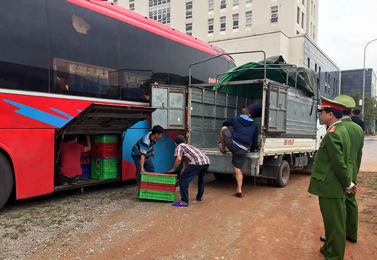 Phát hiện xe ô tô vận chuyển trên 2 tấn động vật không có giấy tờ kiểm dịch