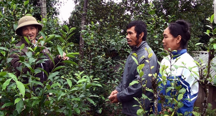 "Điểm tựa" của bản làng