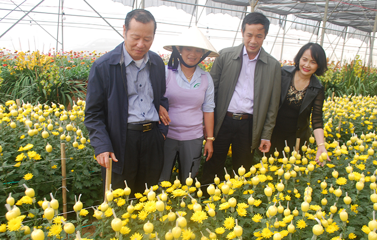 Đồng chí Chủ tịch UBND tỉnh thăm, chúc Tết cán bộ, công nhân Nhà máy phân loại và xử lý rác thải