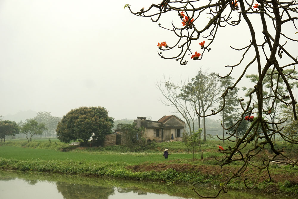Rượu quê