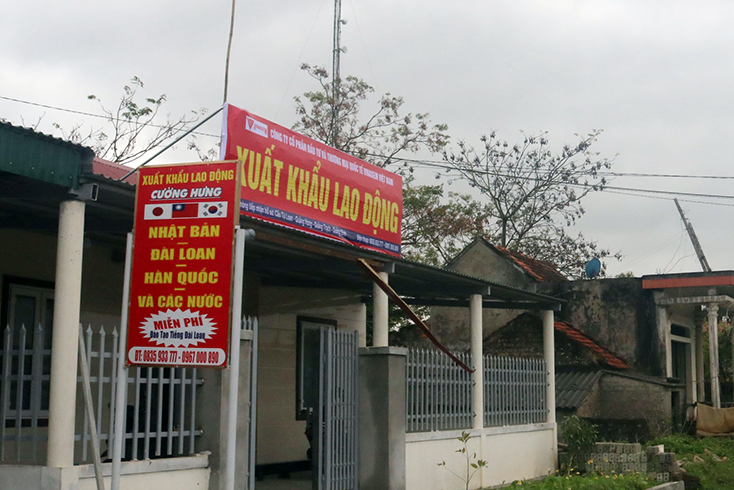 Công ty cổ phần nguồn nhân lực Thiên Đạt có vi phạm pháp luật trong lĩnh vực xuất khẩu lao động?