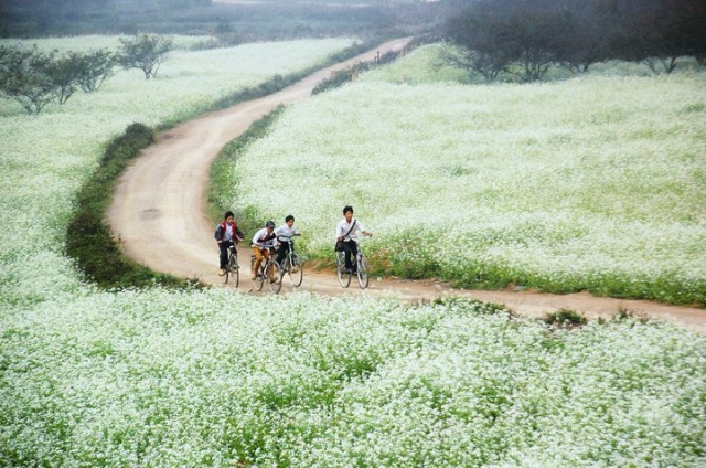 Miền tuổi thơ