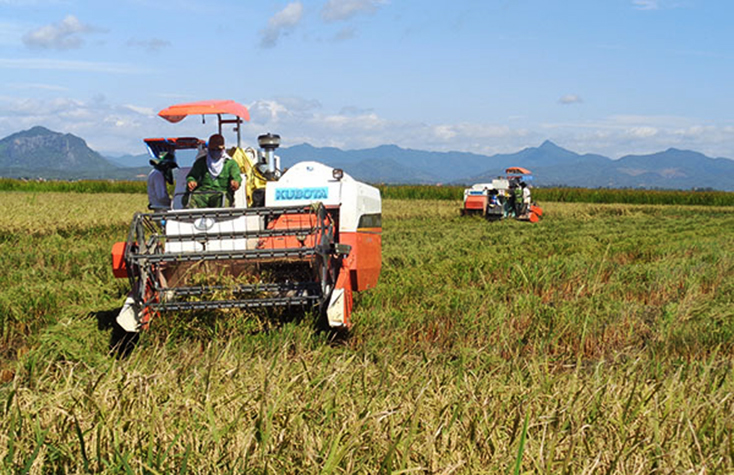 Đảng bộ huyện Quảng Ninh:  Chú trọng gắn xây dựng Đảng với phát triển kinh tế-xã hội