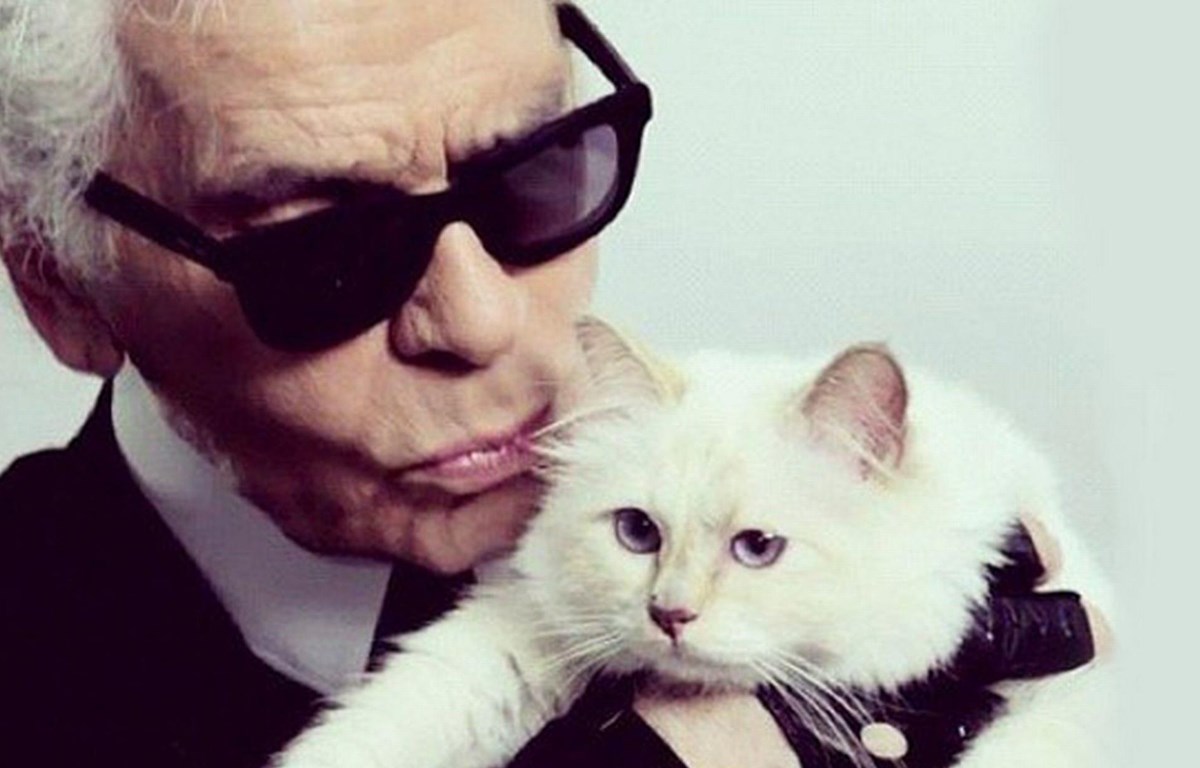 'Cô mèo cưng' Choupette có thể được thừa kế tài sản của Karl Lagerfeld