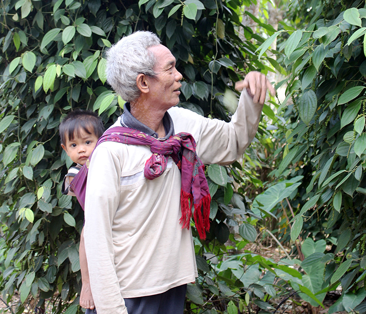 "Lộc" rừng đầu năm