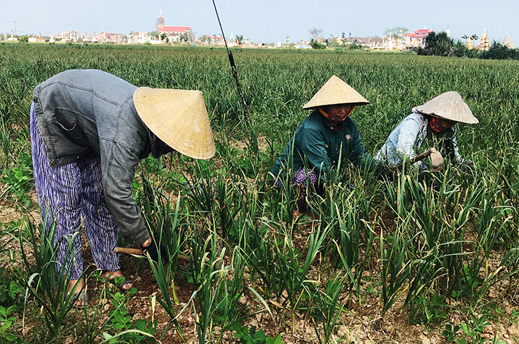 Đồng bào công giáo chung tay xây dựng khối đại đoàn kết toàn dân tộc