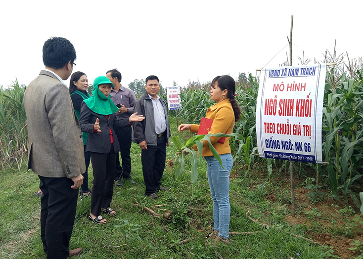 Nữ trưởng thôn gương mẫu
