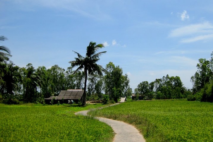 Đường về quê mẹ