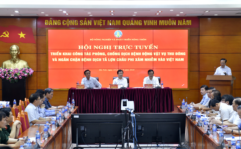 Triển khai đồng bộ các giải pháp cấp bách khống chế bệnh dịch tả lợn châu Phi