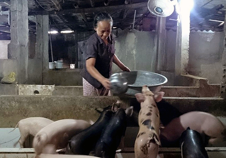 "Đòn bẩy" giúp phụ nữ thoát nghèo