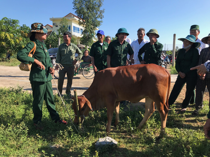 Bố Trạch: Triển khai có hiệu quả Đề án 85 về hỗ trợ bò giống cho hộ nghèo