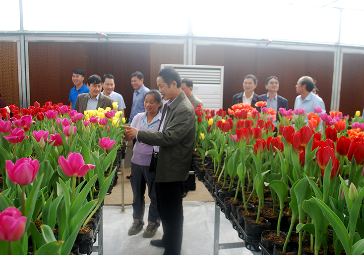 Cho Quảng Bình thêm xanh