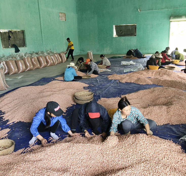 Tập trung phát triển ngành nghề nông thôn