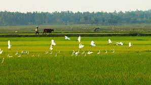 Giấc mơ tháng tư