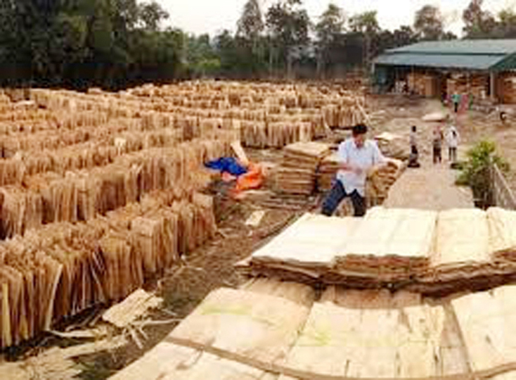 Cảnh báo nguy cơ cháy, nổ từ các cơ sở sản xuất gỗ bóc tách ván và gỗ dăm
