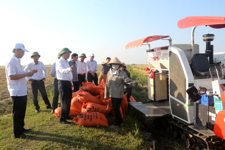 Đồng chí Phó Chủ tịch UBND tỉnh kiểm tra sản xuất tại Quảng Ninh