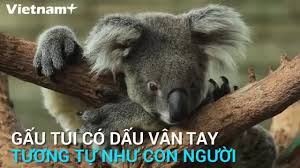 Những sự thật cuộc sống khiến chúng ta không ngừng ngạc nhiên
