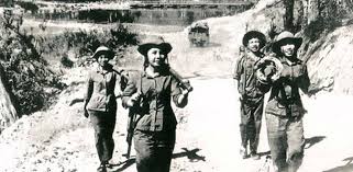 Hương bồ kết