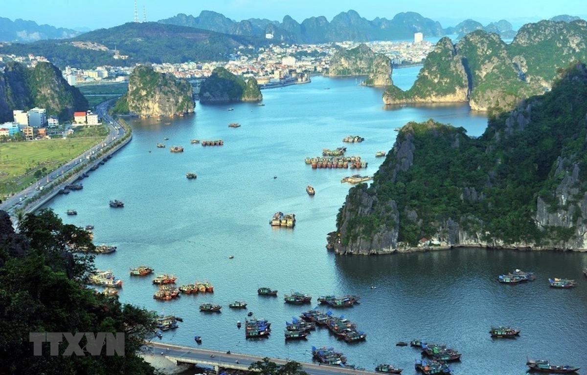 Yêu cầu kiểm tra thông tin vùng lõi di sản vịnh Hạ Long bị bêtông hóa