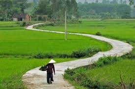 Nhặt mùa kí ức…