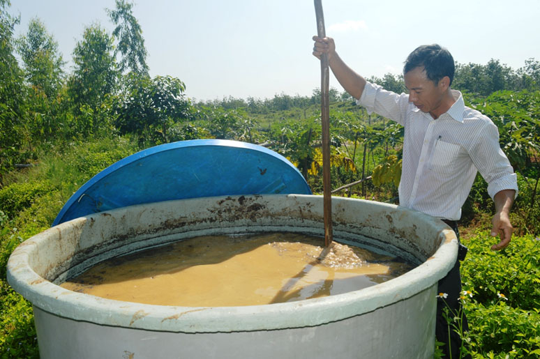 Sử dụng đạm thực vật trong sản xuất rau hữu cơ