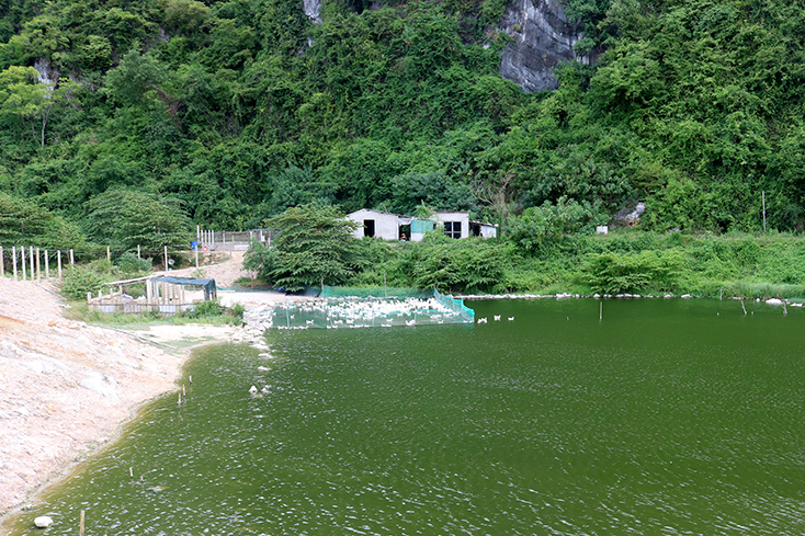 Dưới thung lũng Hàm Rồng…