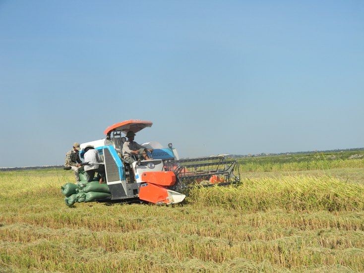 "Gió mới" Đại Phong