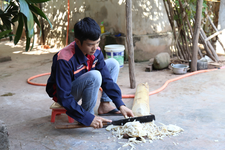 Chân dung thí sinh đạt hai điểm 10