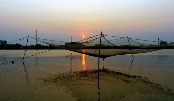 Cảm nhận
