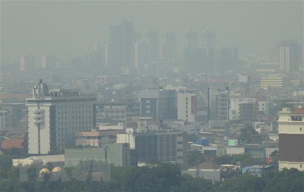 ASEAN cần thúc đẩy hợp tác sử dụng bền vững than bùn, giảm khói mù