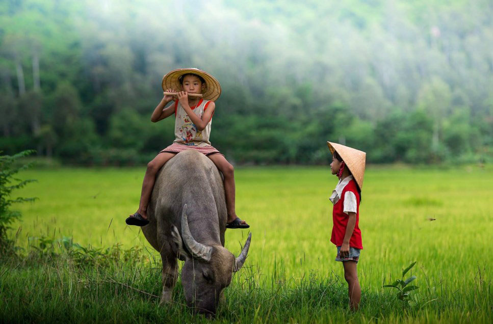 Em ơi trở lại quê nhà