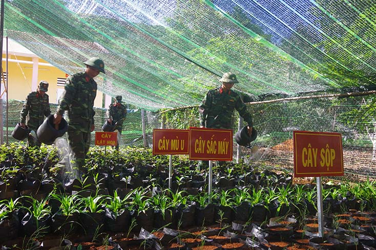 Lính đảo