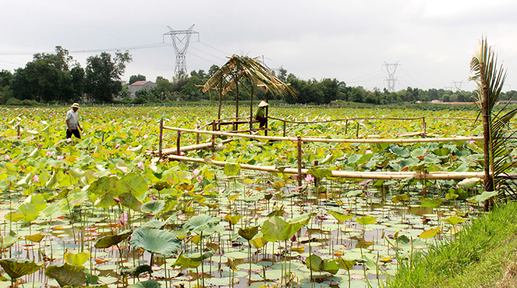 Thương nhớ ngày xưa