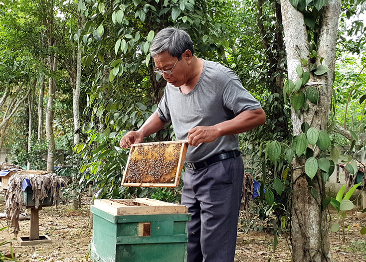 Định danh thương hiệu mật ong Lệ Thủy