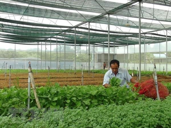 Liên kết vùng, ứng dụng khoa học phát triển sản phẩm chủ lực