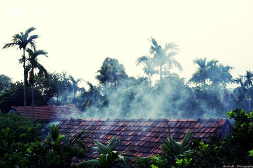 Tha hương nhớ vị quê nhà