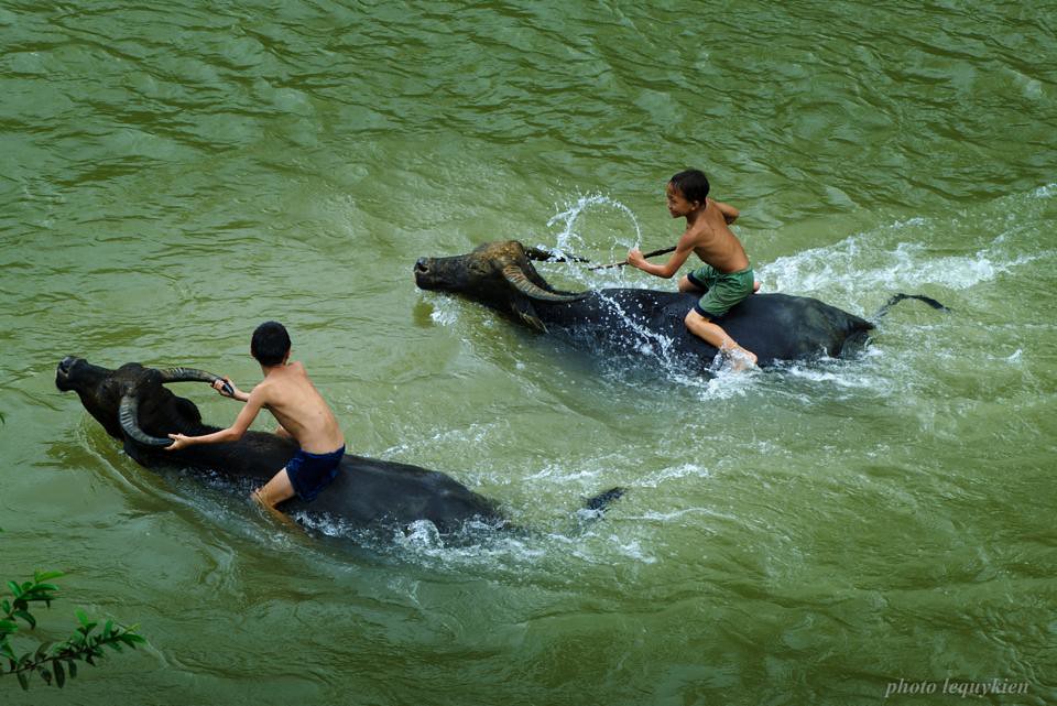 Dòng sông tuổi thơ tôi