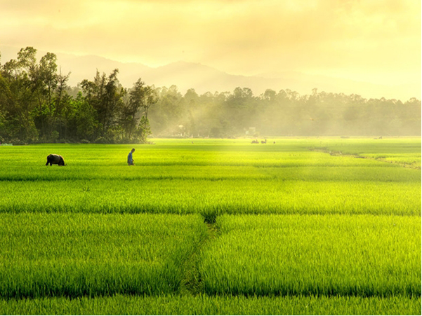 Mẹ tôi và tháng mười