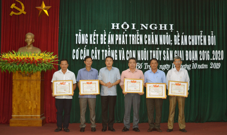 Bố Trạch: Thúc đẩy nông nghiệp phát triển theo chiều sâu, chất lượng