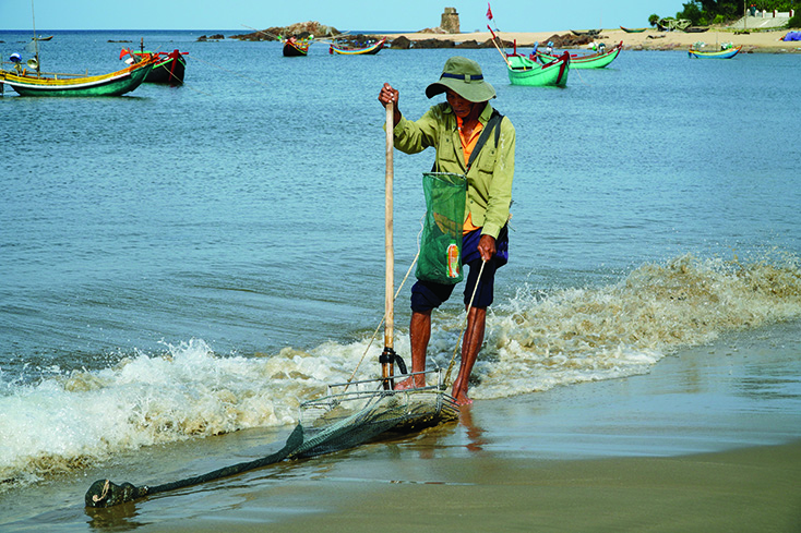 Tảo tần