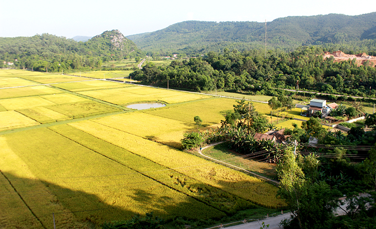 Đất nước hình cánh đồng