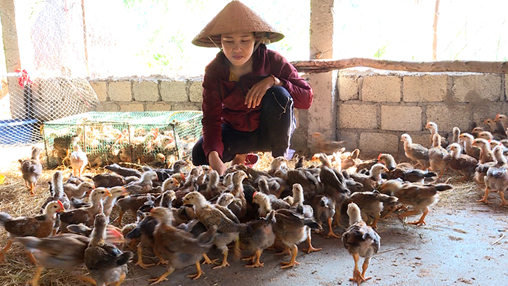 Phụ nữ Quảng Trạch thi đua phát triển kinh tế