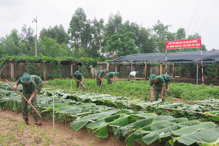 Ngành hậu cần làm theo Bác