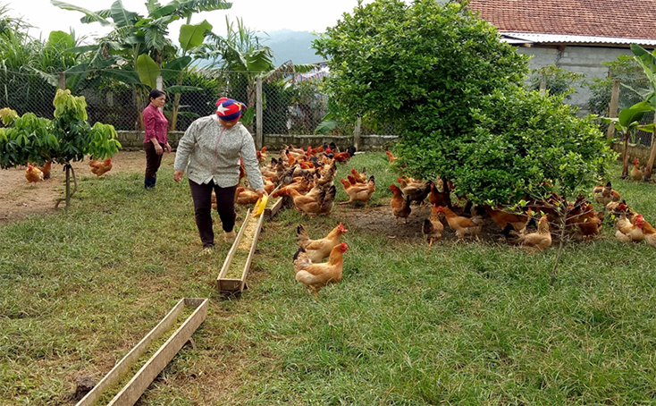 Vùng đất mới Rí Rị