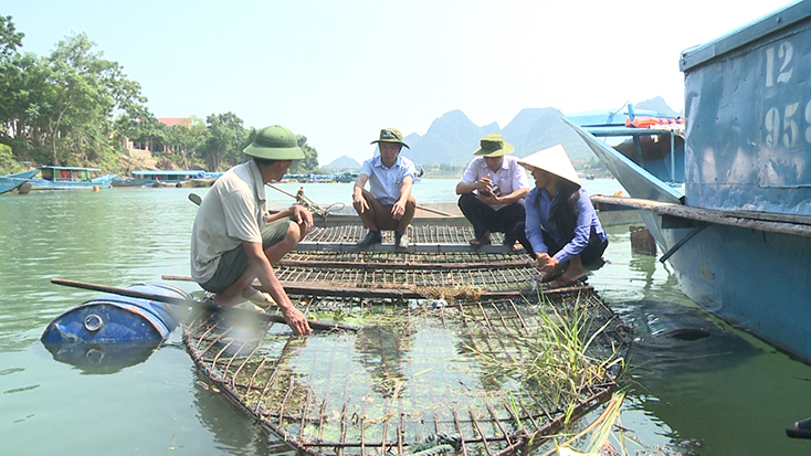 Thương hiệu cá trắm sông Son: Tạo dấu ấn ẩm thực đất di sản