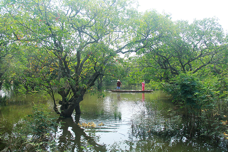 "Linh hồn" của làng quê