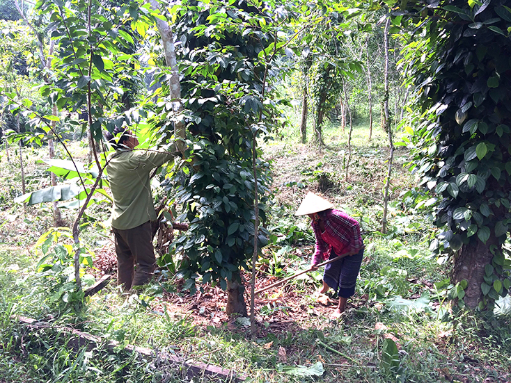 "Ý Đảng, lòng dân" trong công tác giảm nghèo