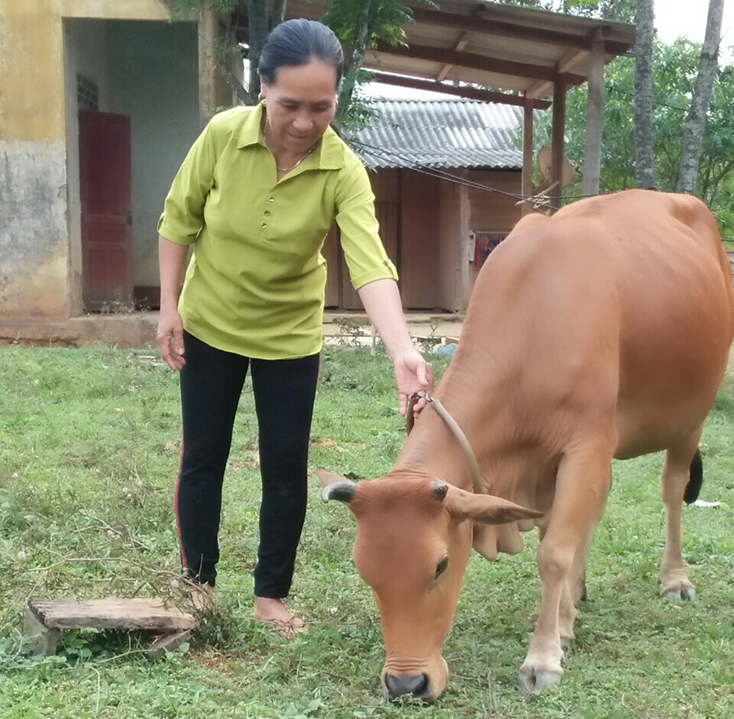 Nông dân xã Thạch Hóa: Phát huy hiệu quả nguồn vốn tín dụng ưu đãi