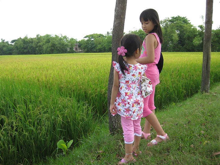 "Dưới bóng hoàng lan" (*)